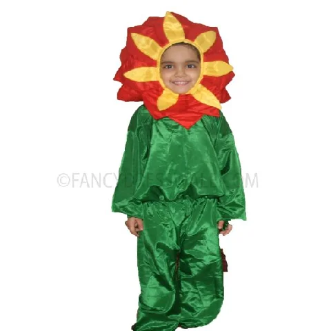 Sunflower dress for Fancy dress competitions for Boys and Girls